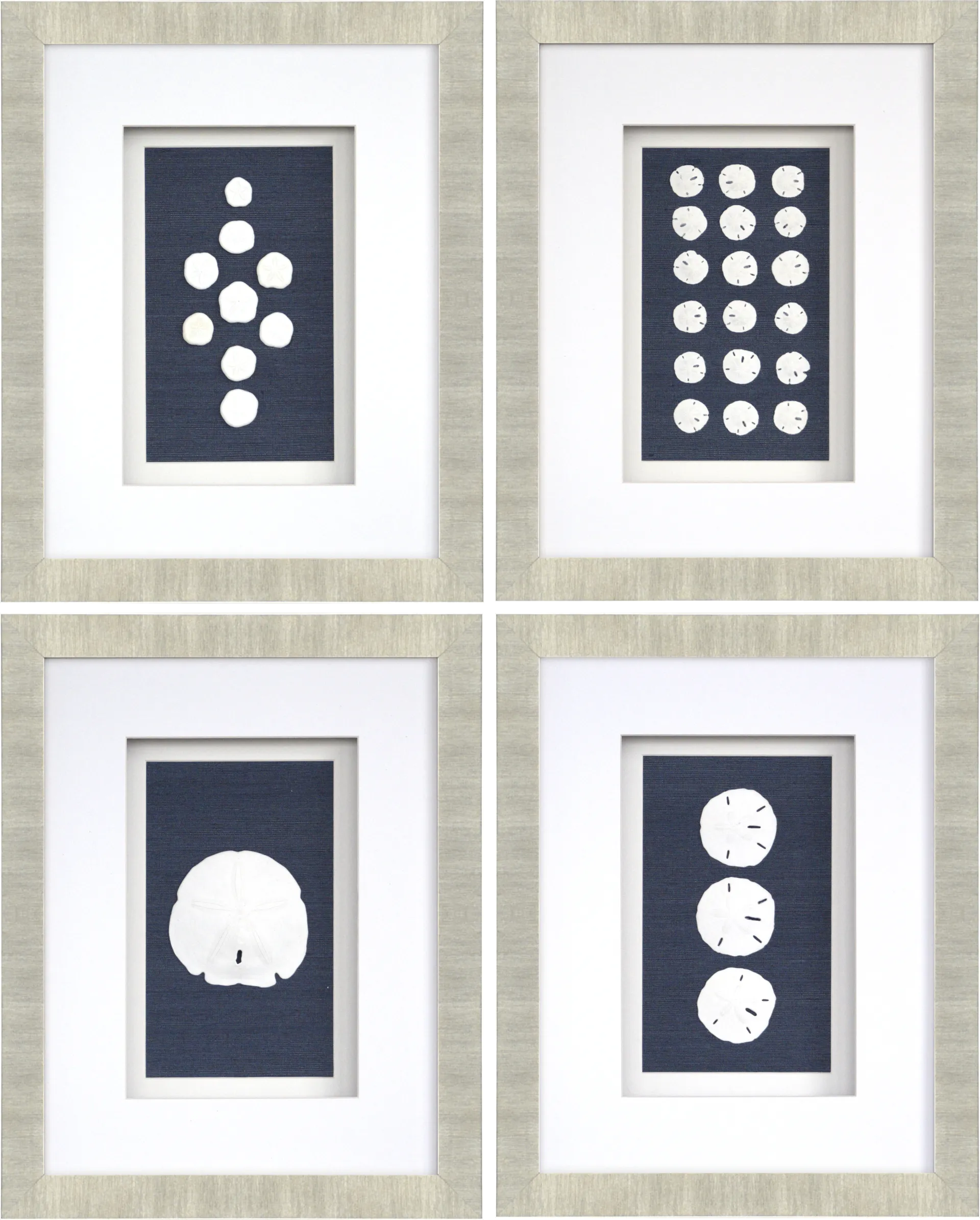 Sand Dollars Set of 4 Artwork - Image 1
