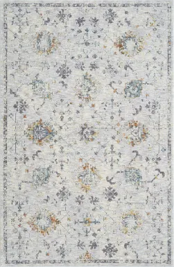 Petebora Gray/Multicolor 7'9 x 9'9 Rug