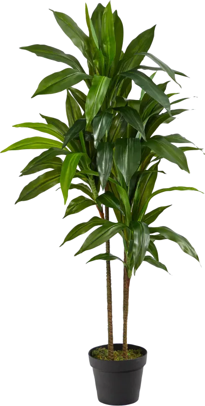 Darian Green Dracaena Silk Tree