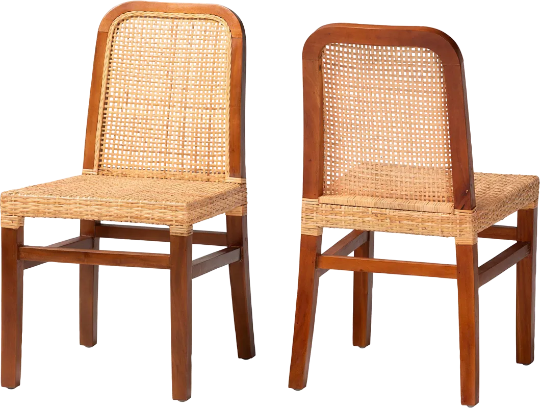 Basian Brown Side Chair, Set of 2
