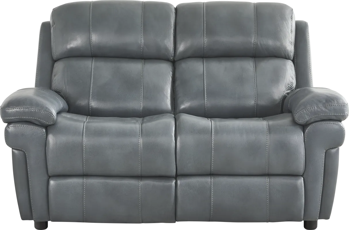 Trevino Lane Blue Leather Loveseat