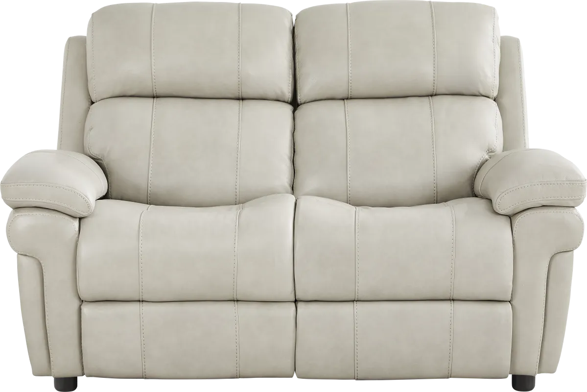 Trevino Lane Gray Leather Loveseat