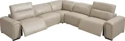 dual power sectional