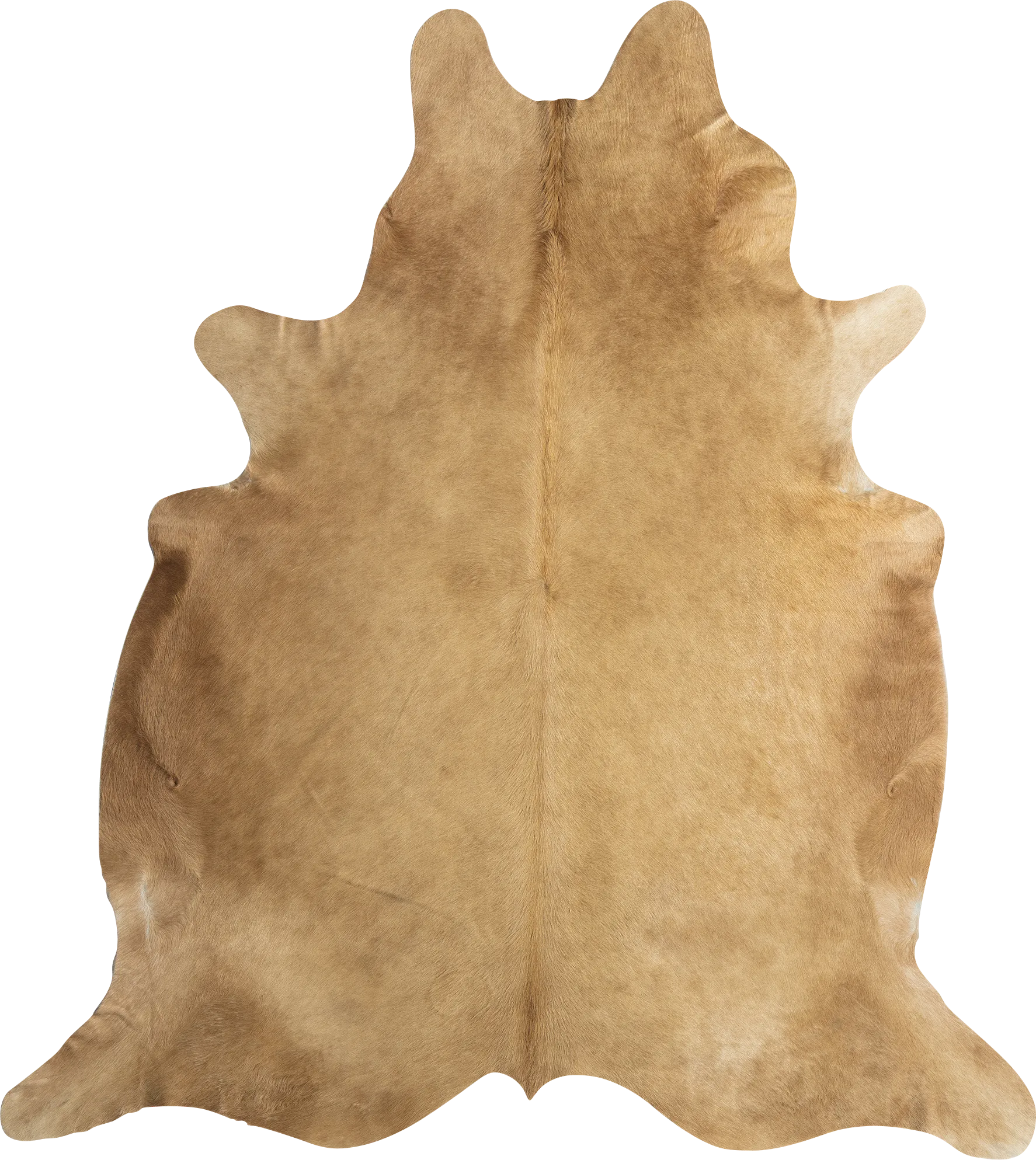 Ayshe Beige 5' x 6'6 Rug - Thumbnail - Image 1