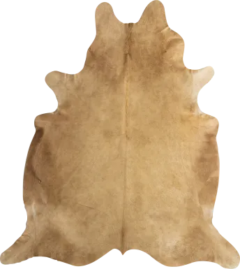 Ayshe Beige 5' x 6'6 Rug