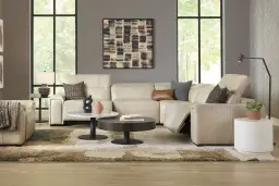 sectional