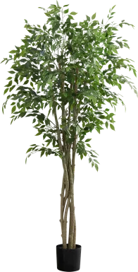 Colusay Green Silk Plant