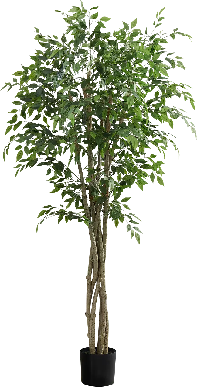 Colusay Green Silk Plant