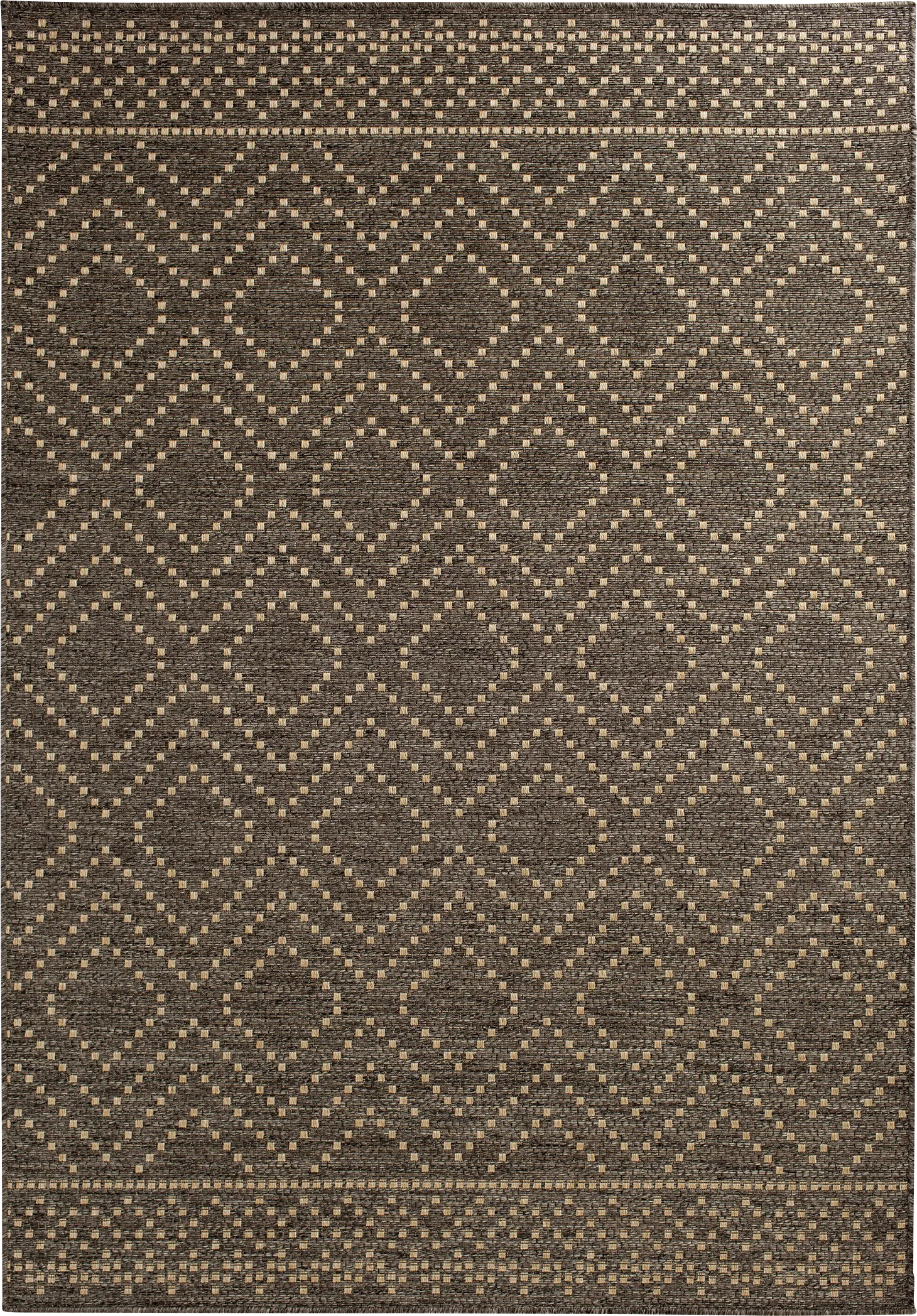 Danyal Brown 6'7 x 9'6 Indoor/Outdoor Rug - Image 1