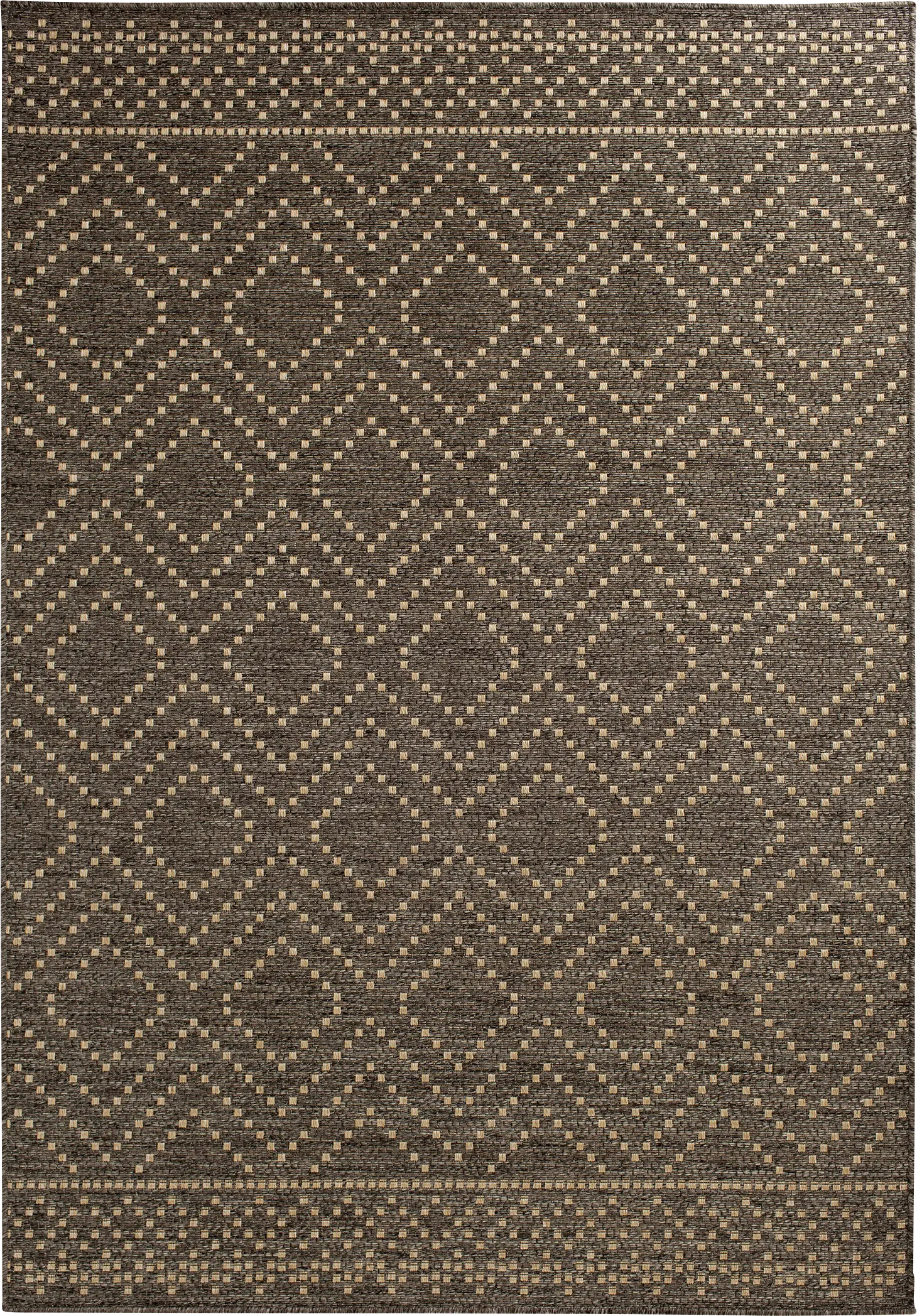 Danyal Brown 6'7 x 9'6 Indoor/Outdoor Rug
