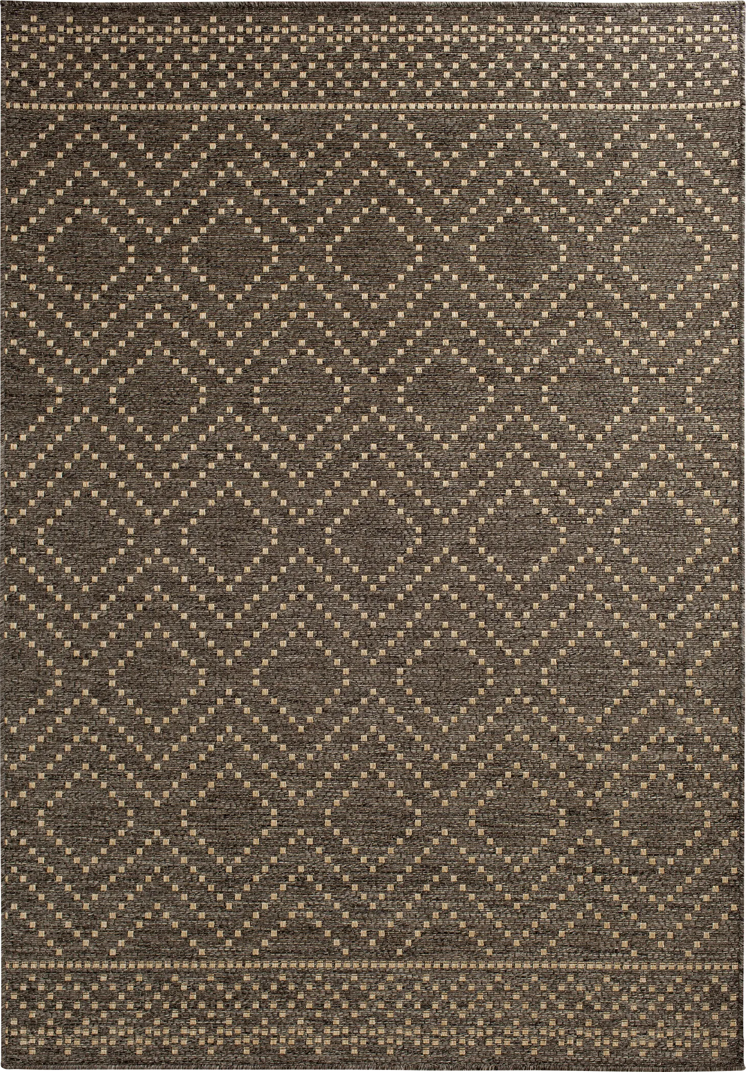 Danyal Brown 5'3 x 7'7 Indoor/Outdoor Rug - Image 1