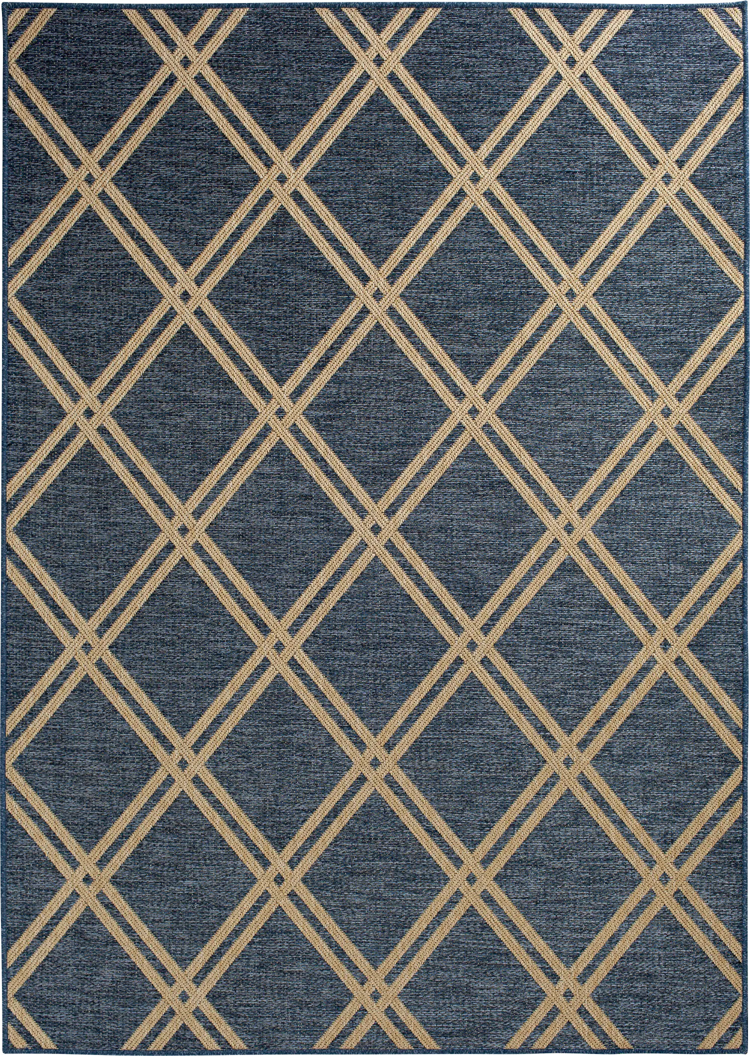 Eristy Blue 7'10 x 9'10 Indoor/Outdoor Rug