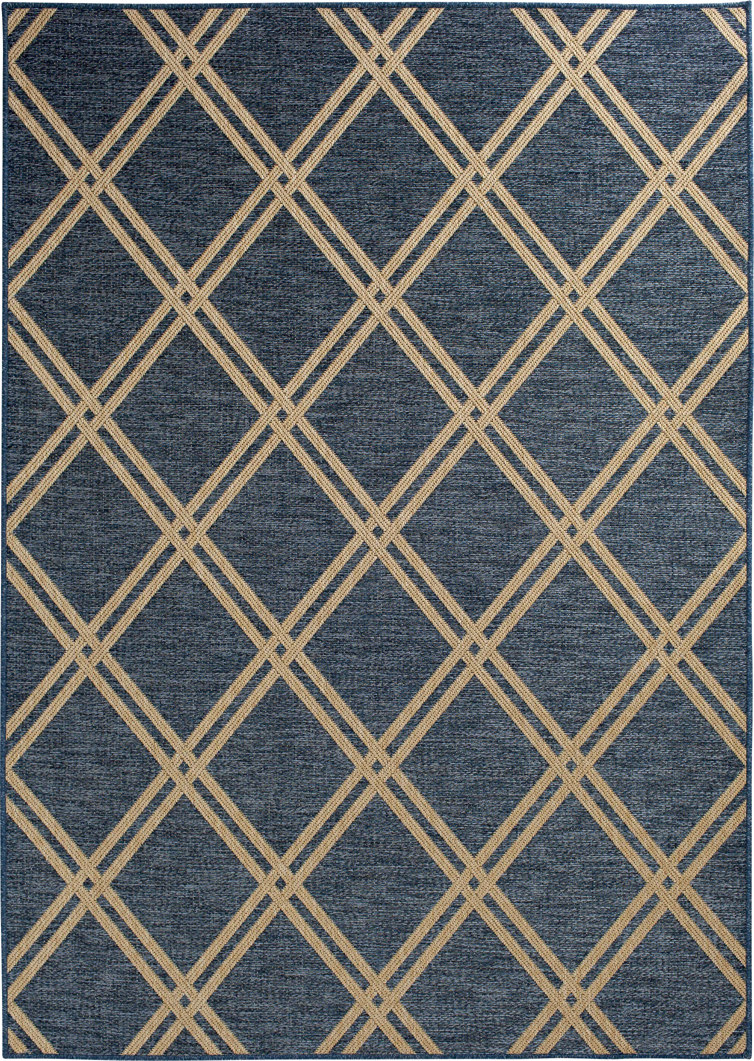 Eristy Blue 7'10 x 9'10 Indoor/Outdoor Rug - Image 1