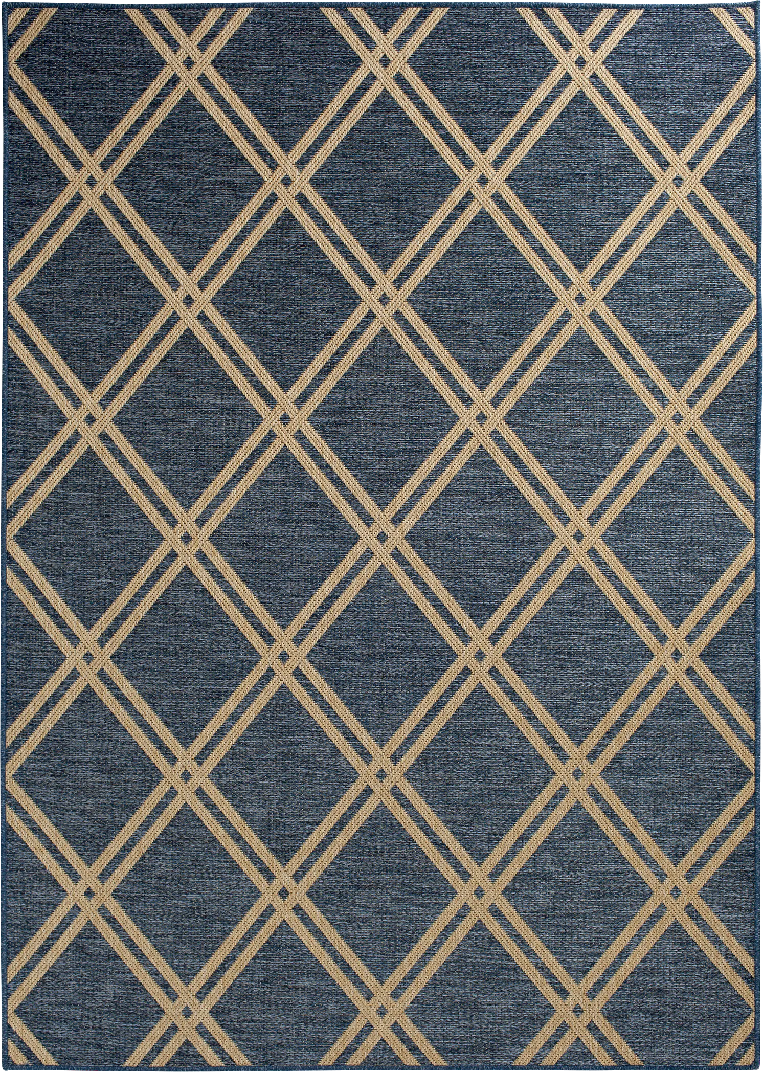 Eristy Blue 6'7 x 9'6 Indoor/Outdoor Rug