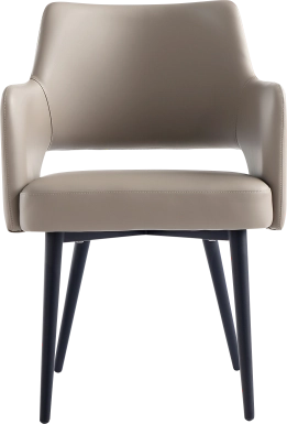 Owlwell Taupe Arm Chair