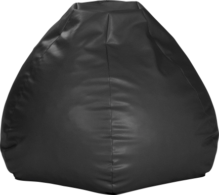 Prasia Black Bean Bag Chair