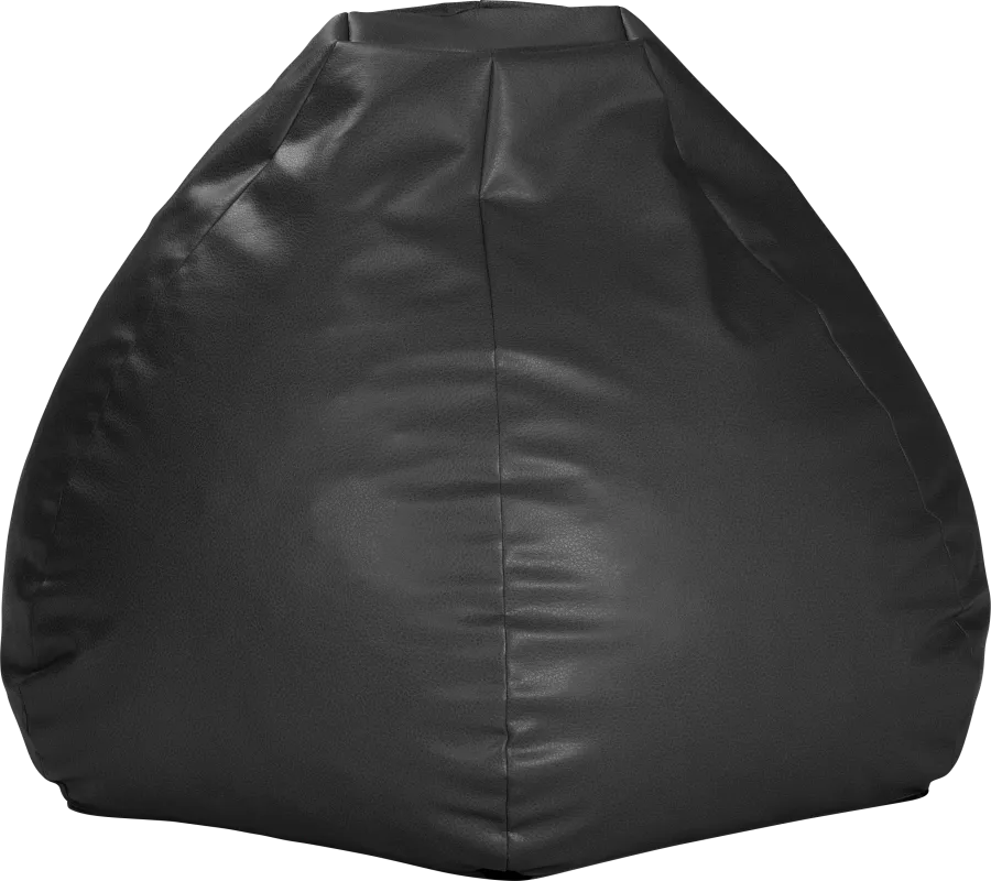 Prasia Black Bean Bag Chair