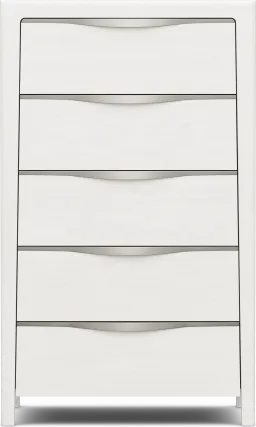 chest