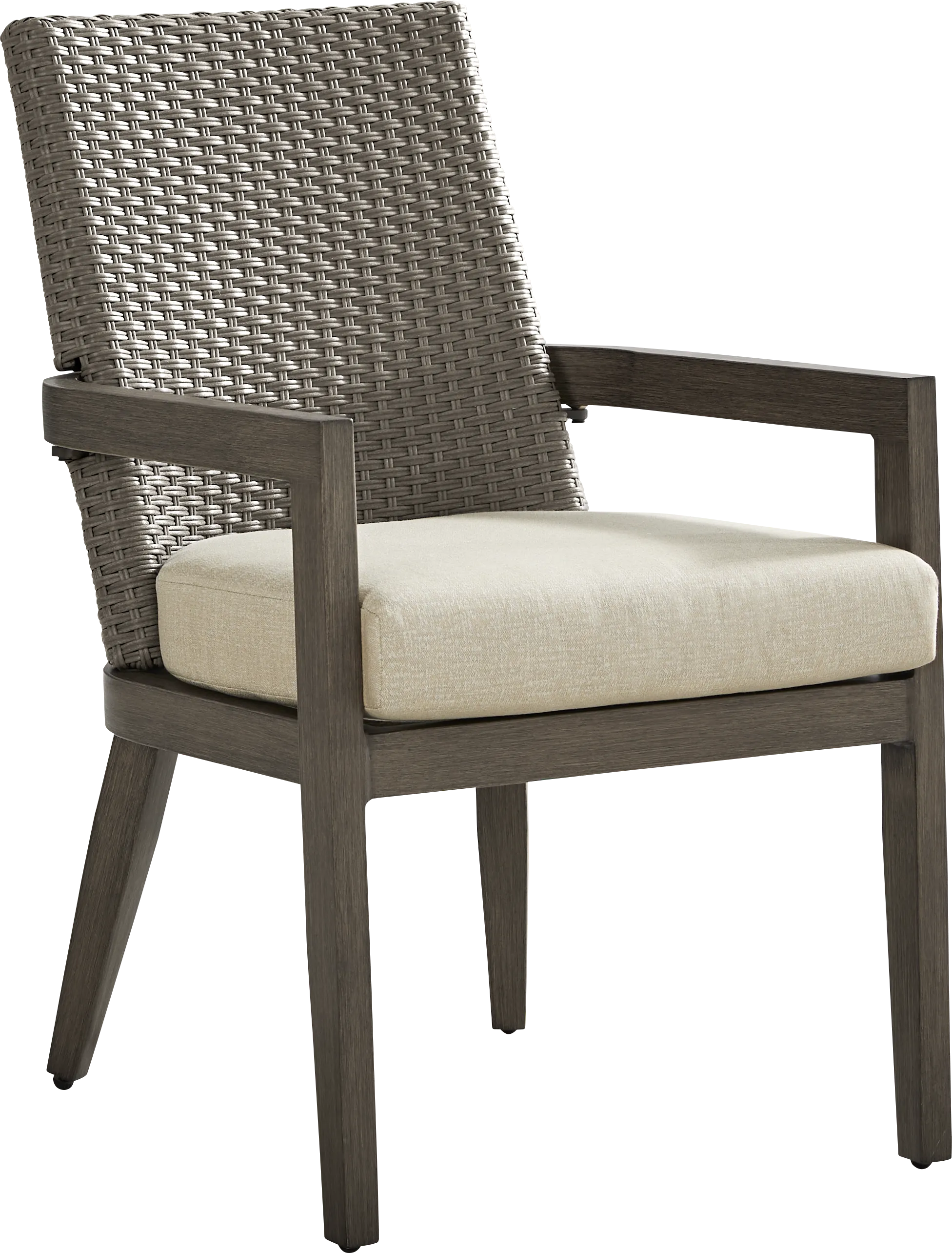 Point Reyes Brown Outdoor Arm Chair - Thumbnail - Image 1