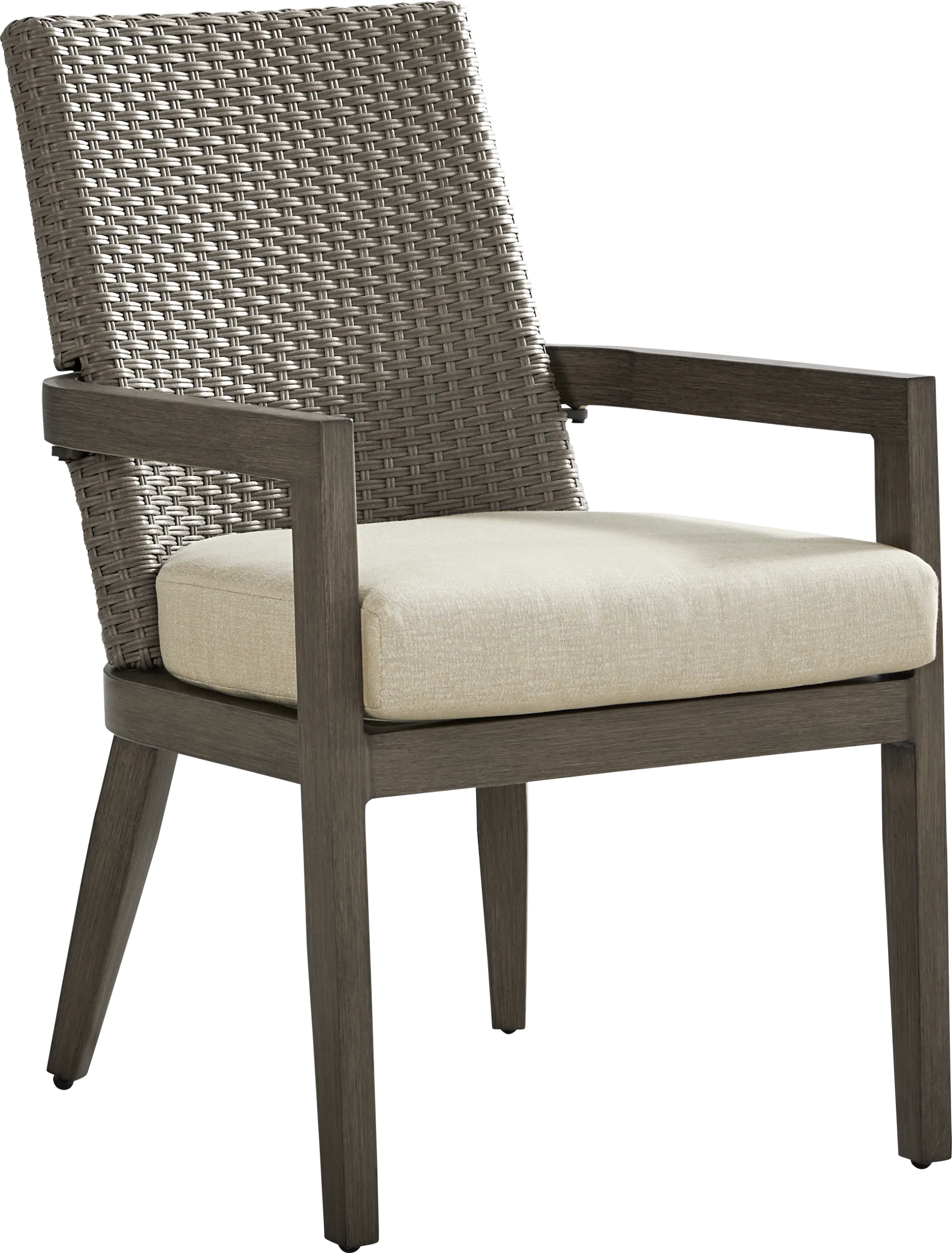 Point Reyes Brown Outdoor Arm Chair - Image 1
