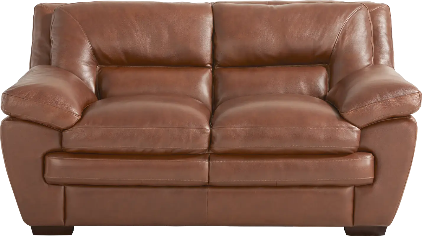 Hayworth Brown Leather Loveseat