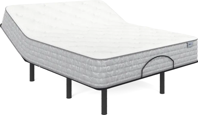 Therapedic Carrolton Queen Mattress with Head Up Only Base