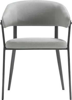 Bullworldy Gray Arm Chair
