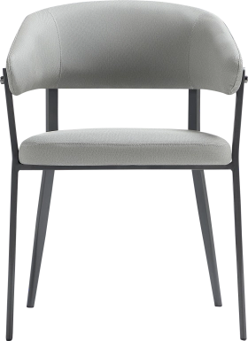 Bullworldy Gray Arm Chair