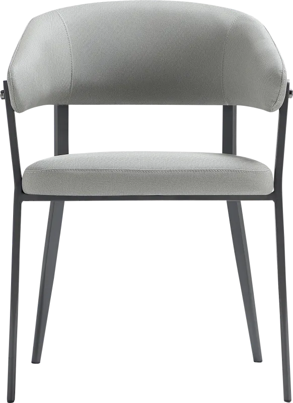 Bullworldy Gray Arm Chair