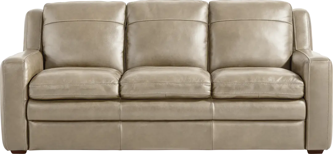 Salinger Leather Premium Sleeper Gel Foam Sofa