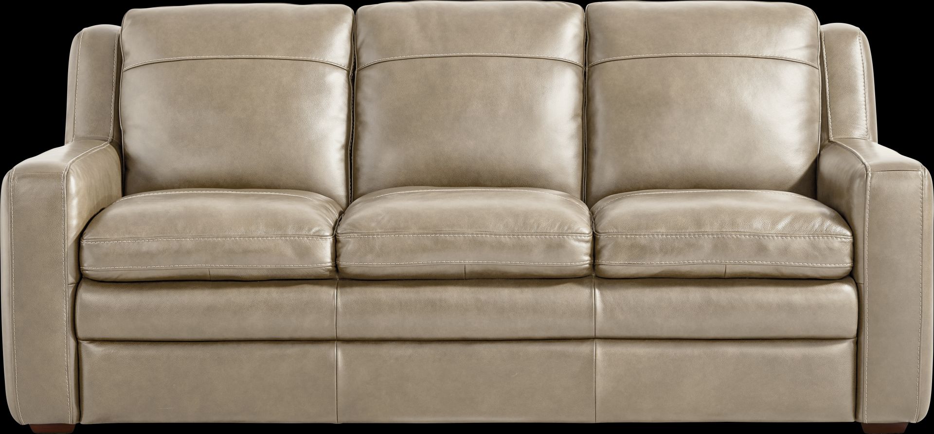 Salinger Beige Leather Sleeper Sofa - Image 1