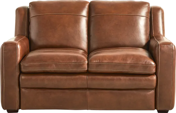 Salinger Brown Leather Loveseat