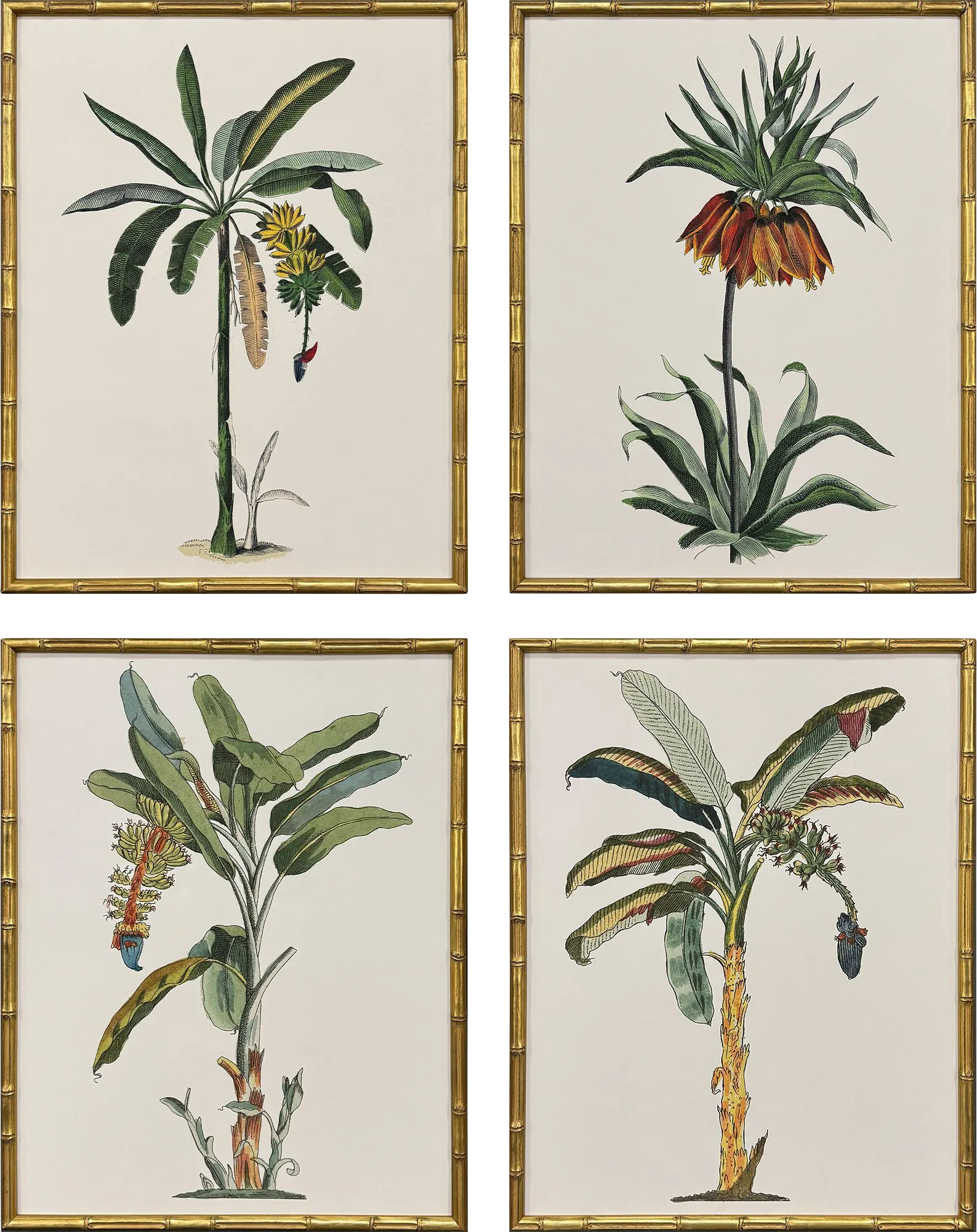 Arlox Green Artwork, Set of 4 - Thumbnail - Image 1