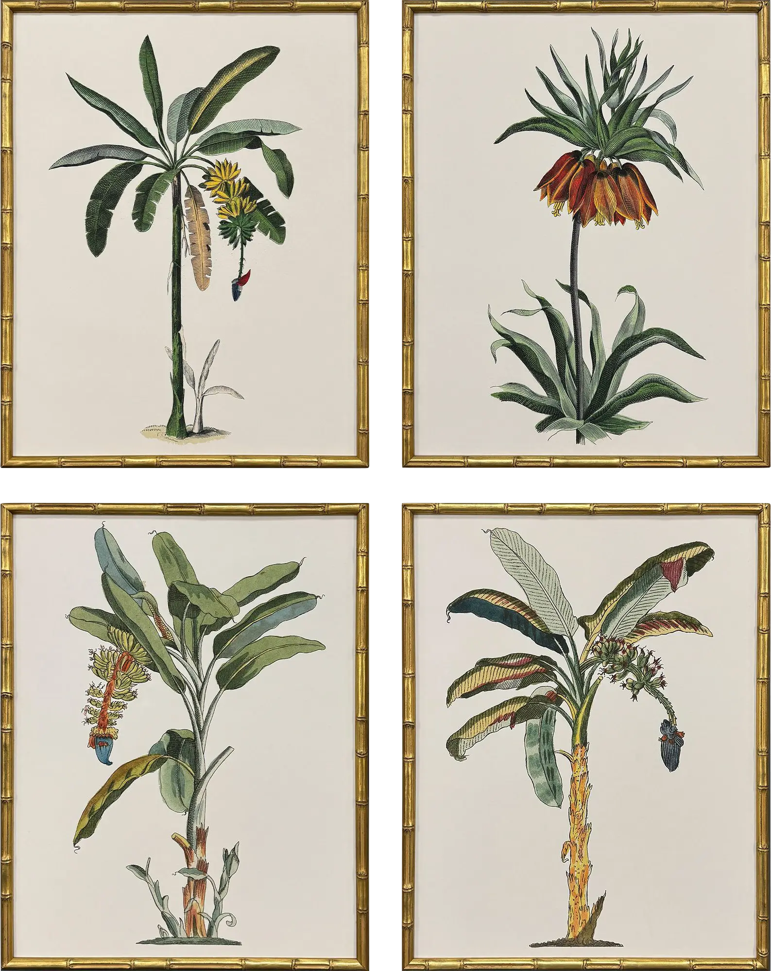 Arlox Green Artwork, Set of 4