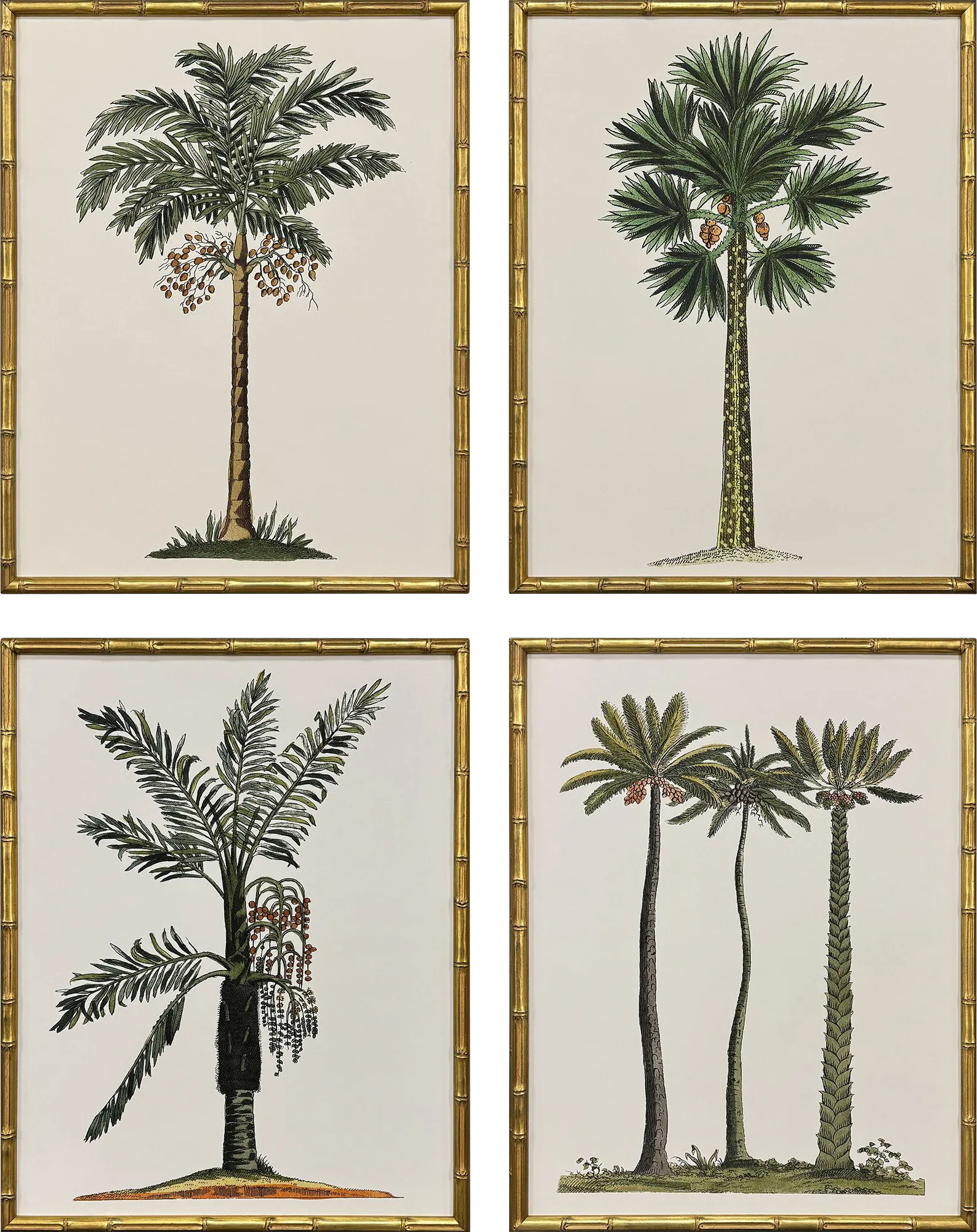 Arlox Green Artwork, Set of 4 - Image 1