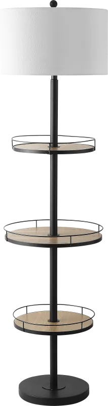 Edmore Hills Black Floor Lamp