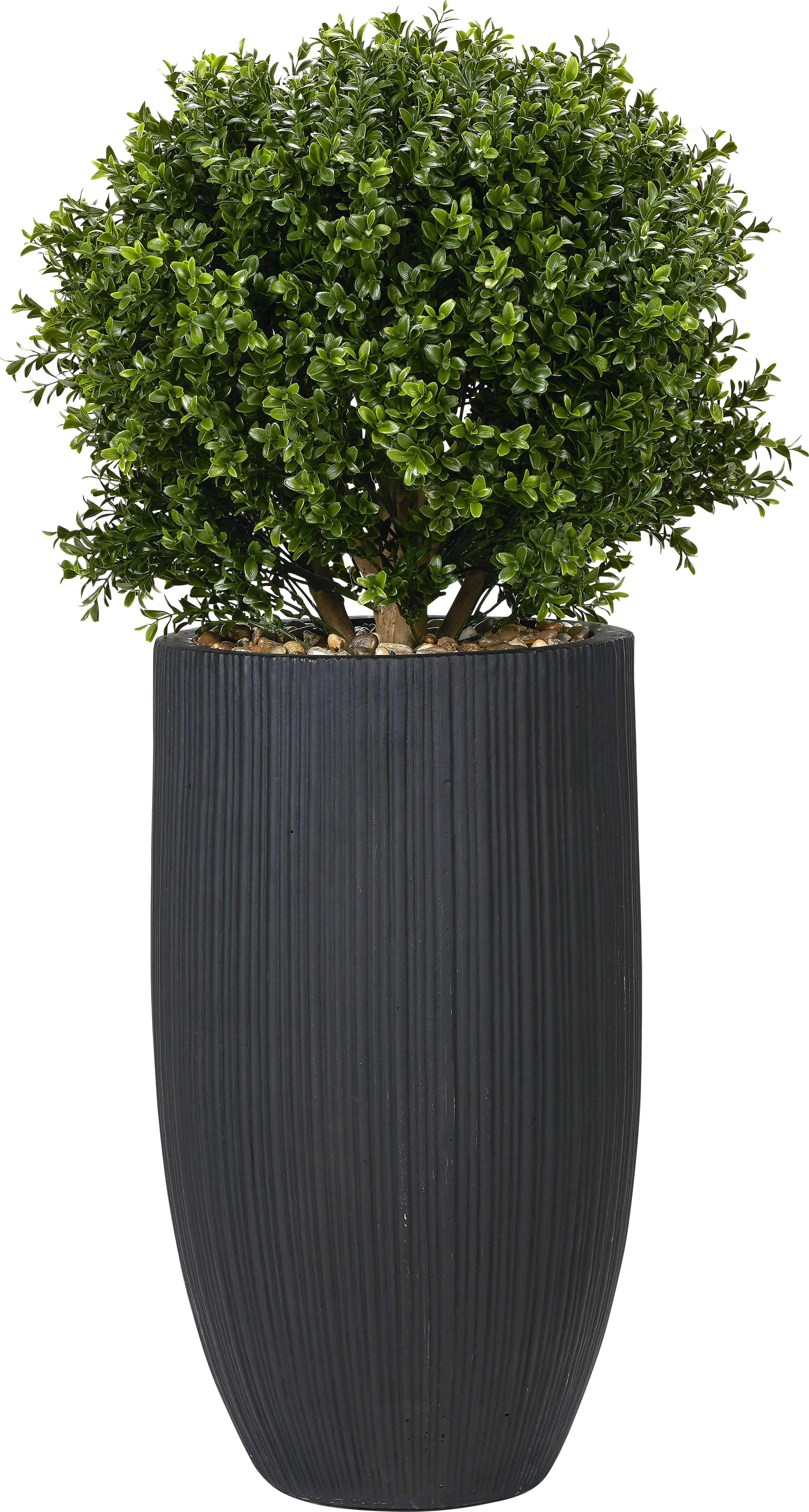 Buis Green 41 in. UV Artifical Boxwood Ball in Black Planter - Thumbnail - Image 1