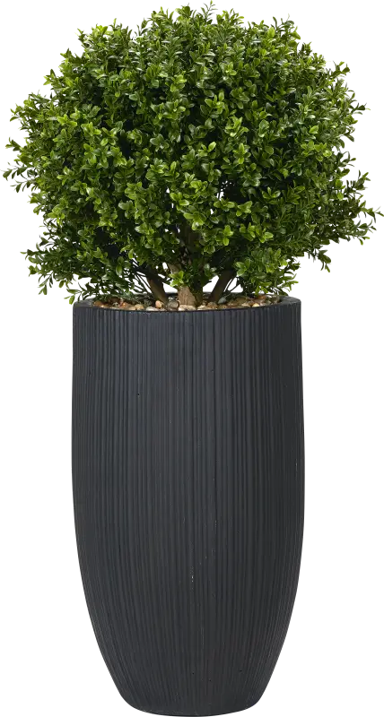 Buis Green 41 in. UV Artifical Boxwood Ball in Black Planter