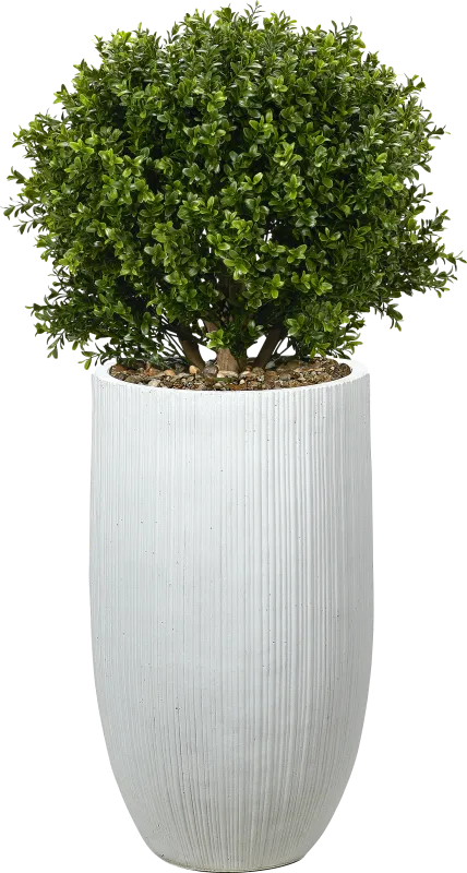 Buis Green 41 in. UV Artifical Boxwood Ball in White Planter