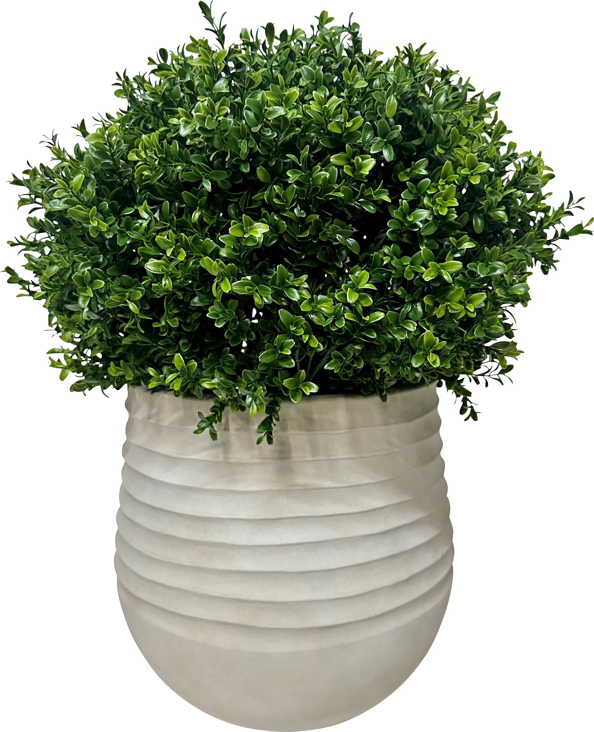 Boulee Green 33 in. UV Artifical Boxwood Ball in White Planter - Thumbnail - Image 1