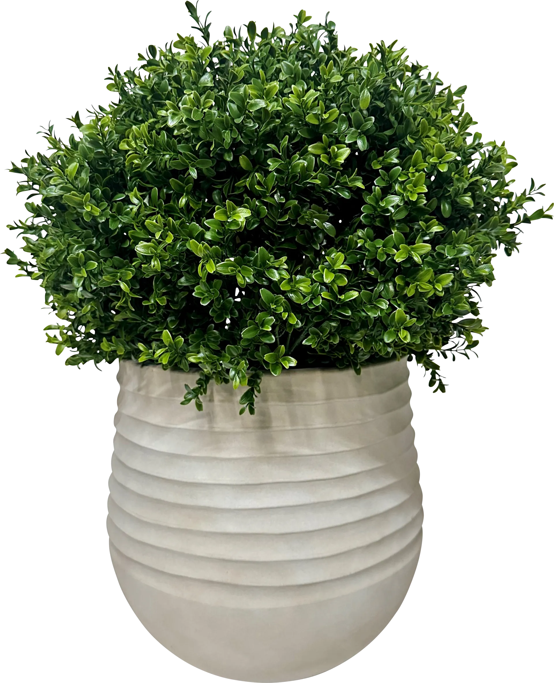 Boulee Green 33 in. UV Artifical Boxwood Ball in White Planter - Image 1