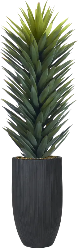 Sisalana Green 60 in. UV Artifical Agave Plant in Black Planter