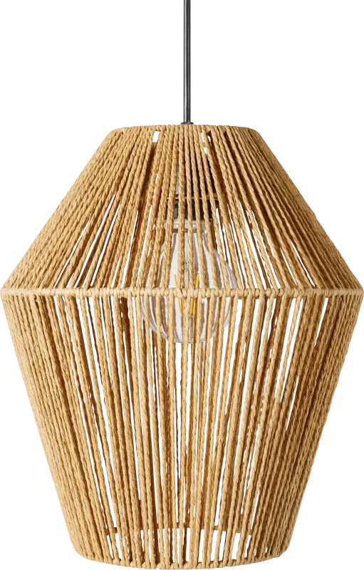 Lamothe Nest Natural Pendant