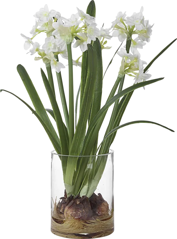 Asteria White Silk Floral