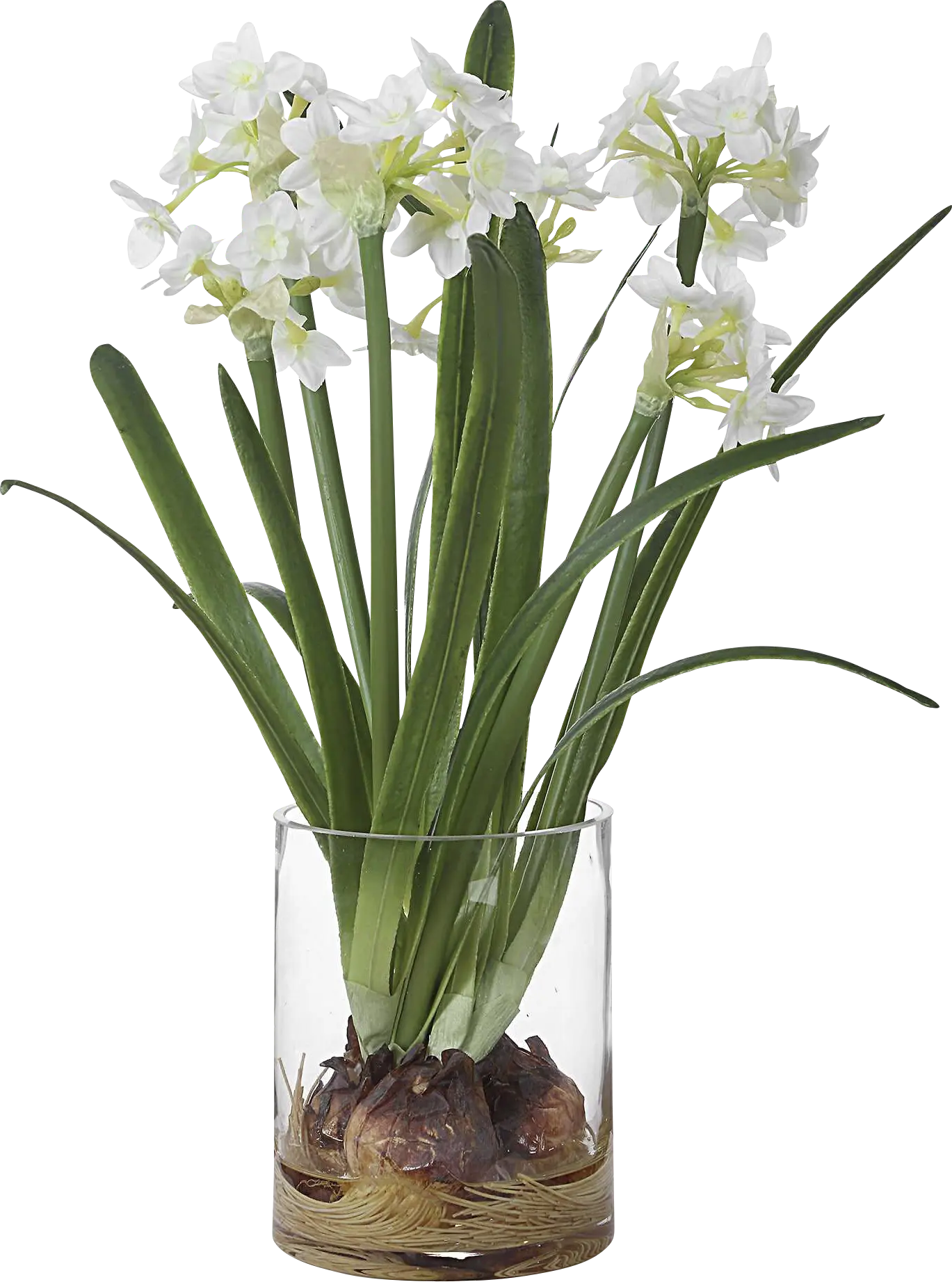 Asteria White Silk Floral
