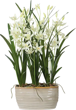 Sanuria White Silk Floral