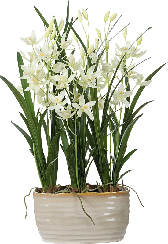 Sanuria White Silk Floral