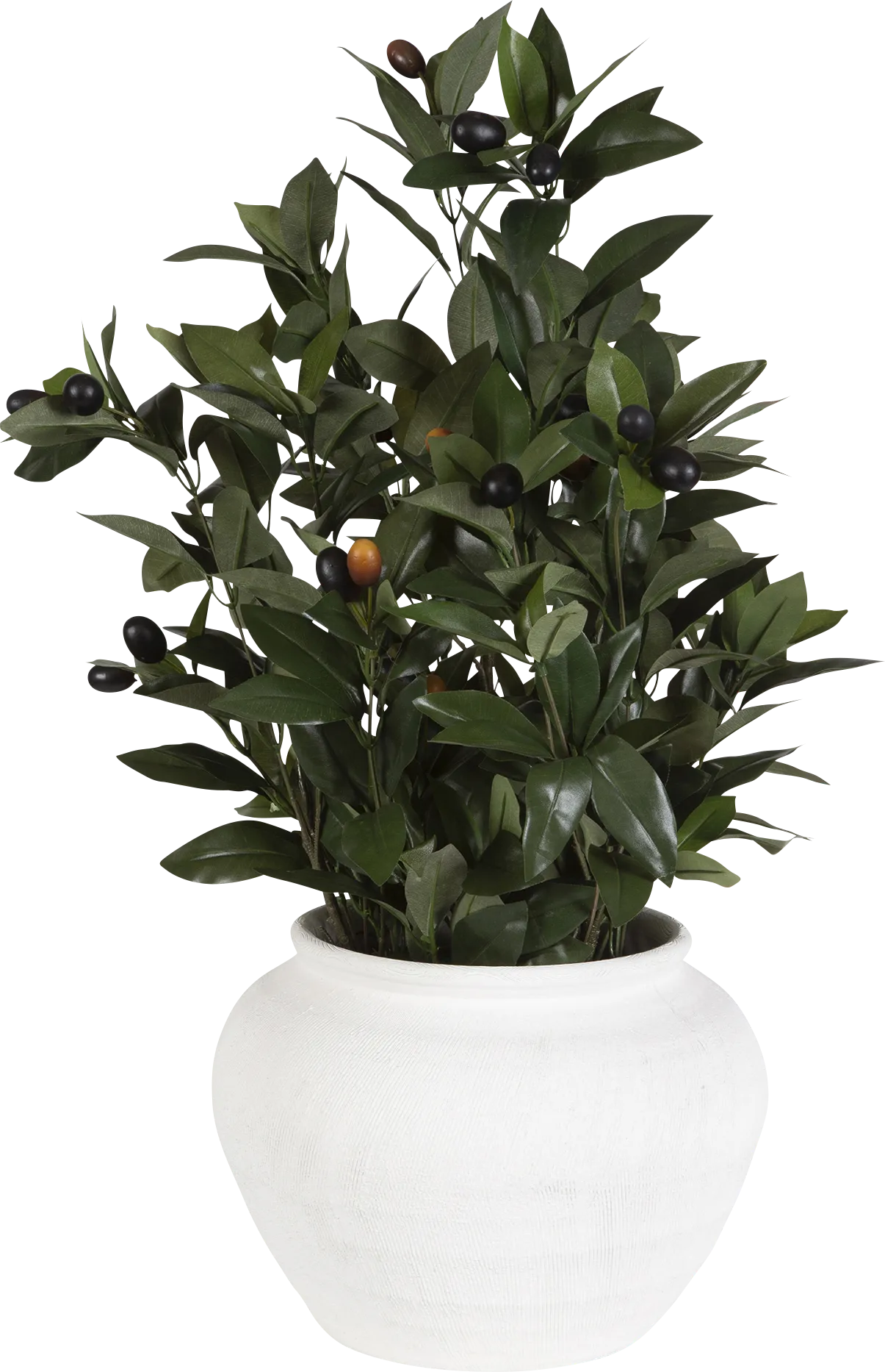 Caui Green Silk Plant - Image 1