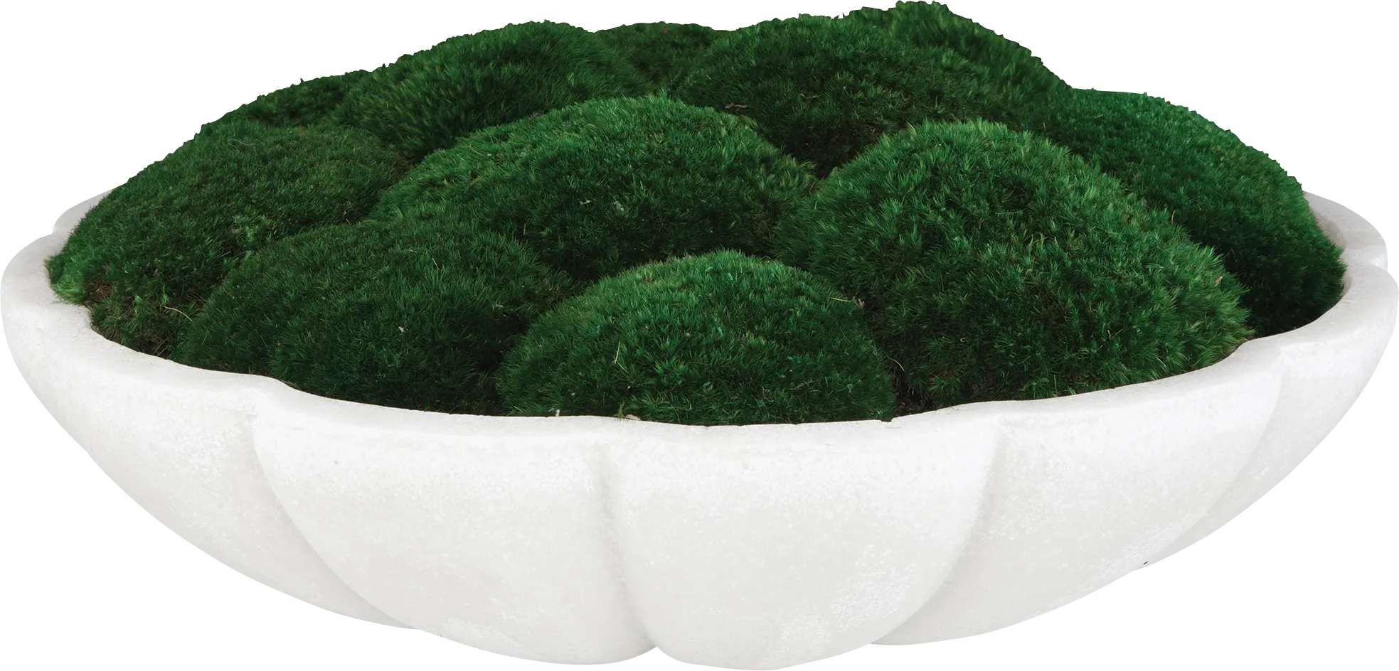 Alrine Green Silk Plant - Thumbnail - Image 1