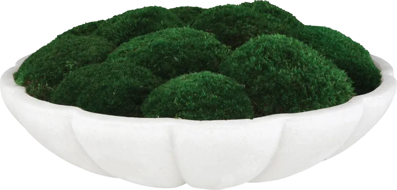 Alrine Green Silk Plant